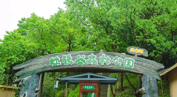 溪口杜鹃谷森林公园