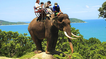 海景大象营地骑大象