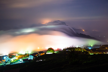 阿里山国家风景区第 63 张图片