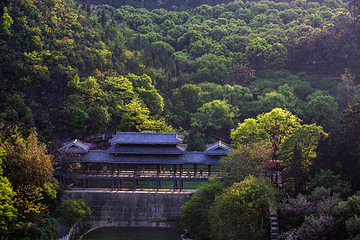阳光谷旅游度假区第 14 张图片