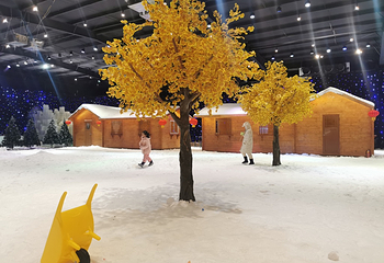 梅山湾冰雪大世界第 6 张图片