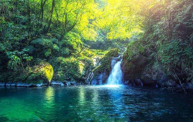 瓦屋山林场第 1 张图片