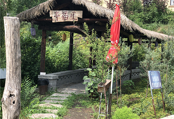 花之语养息谷第 52 张图片