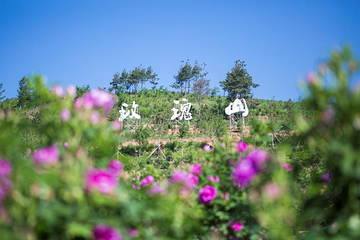 玫瑰山第 3 张图片