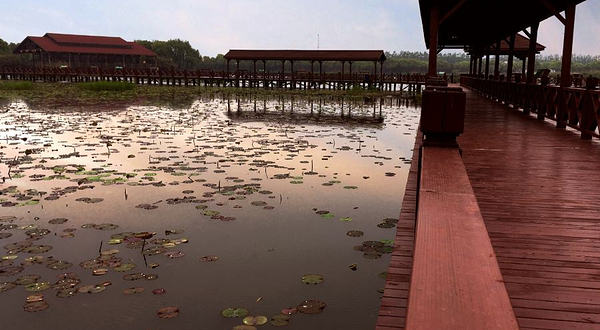 宣城宁国板桥自然保护区