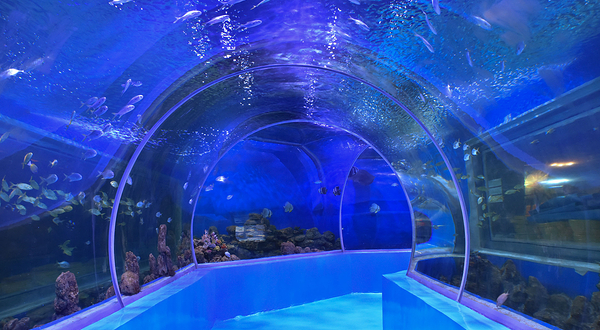 曲靖218欢乐世界