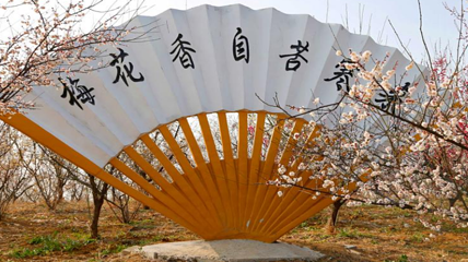 泗洪洪泽湖湿地景区-梅园第 1 张图片