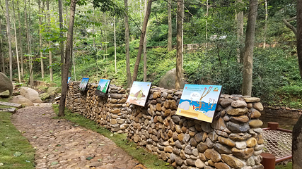 大龙山乌龙溪景区第 13 张图片