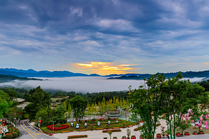 碧峰峡野生动物世界