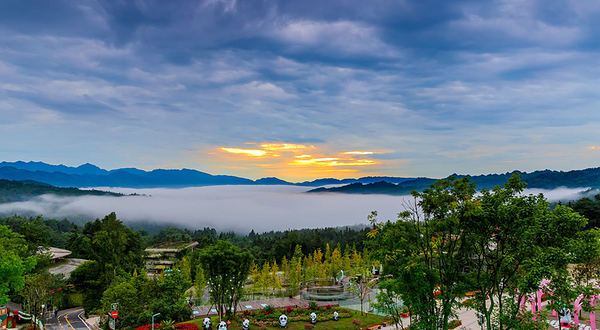 碧峰峡野生动物世界