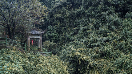 凤鸣山风景区第 1 张图片