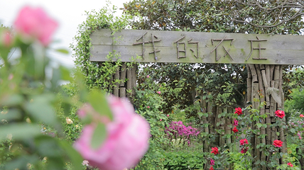江南花伴湾第 2 张图片
