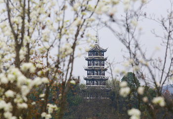 瀛湖风景区第 38 张图片
