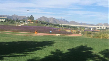 神湖四季生态园水上乐园