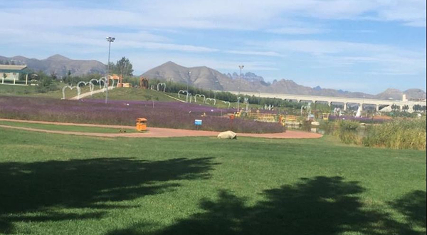 神湖四季生态园水上乐园