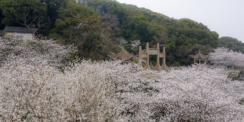 苏州上方山国家森林公园第 59 张图片