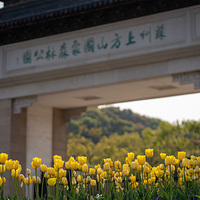 苏州上方山国家森林公园