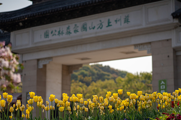 苏州上方山国家森林公园第 1 张图片