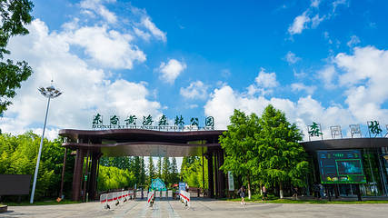 黄海森林公园第 1 张图片