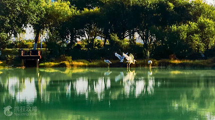 西湾旅游景区-白鹭公园第 2 张图片