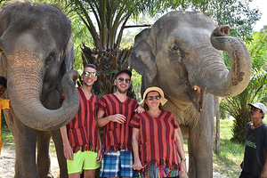 普吉岛奈迪大象保护营