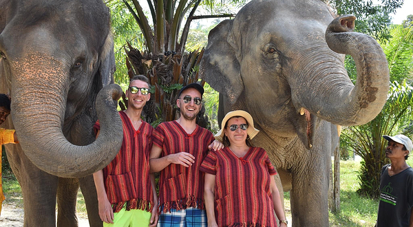 普吉岛奈迪大象保护营