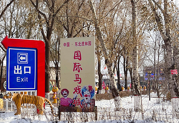 东北虎林园第 354 张图片