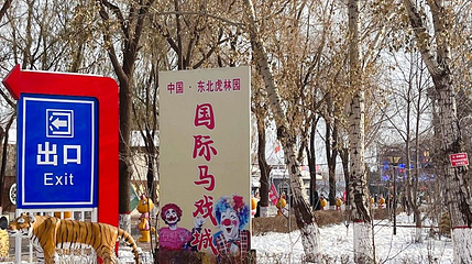黑龙江虎林园国际马戏城第 1 张图片