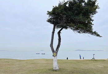 黄厝海滩第 14 张图片