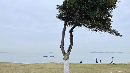 黄厝海滨浴场第 1 张图片