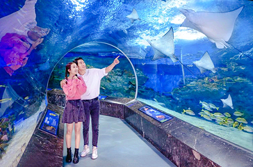 海底隧道第 1 张图片