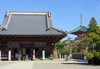 成田山新胜寺第 5 张图片