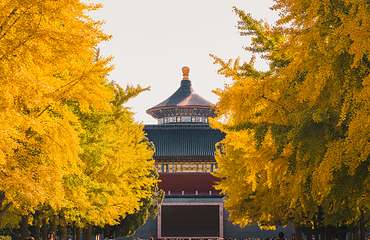天坛公园第 9 张图片