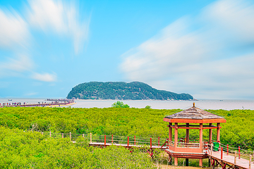 海陵岛第 23 张图片