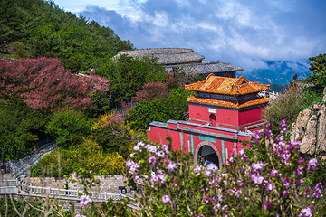 泰山风景区第 385 张图片