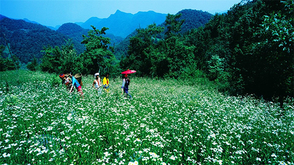 柴埠溪大峡谷第 17 张图片