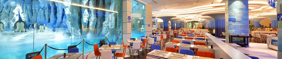 珠海长隆企鹅酒店•帝企鹅自助餐厅•儿童岛•真企鹅第 49 张图片