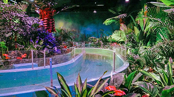 城市森林萌宠乐园