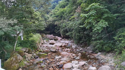 小陇山国家森林公园桃花沟景区第 1 张图片