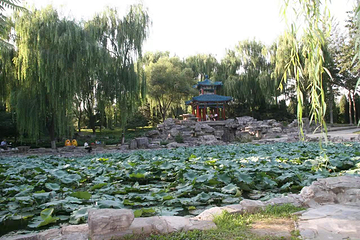 南宫苑营地乐园第 12 张图片