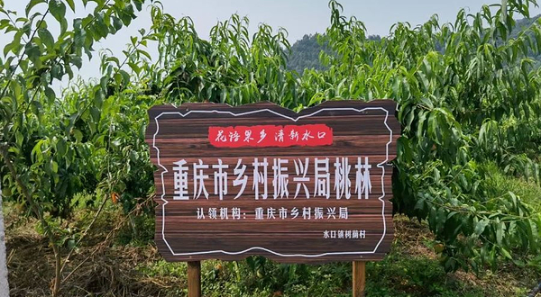 花语果乡采摘园