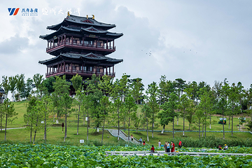 大洋湾生态旅游景区第 59 张图片