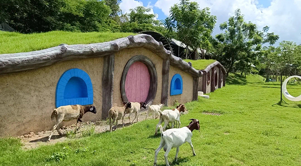 牧语田园轻奢露营地