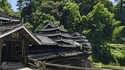 独峒岜团桥景区第 2 张图片