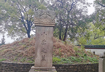 岳阳楼景区第 174 张图片