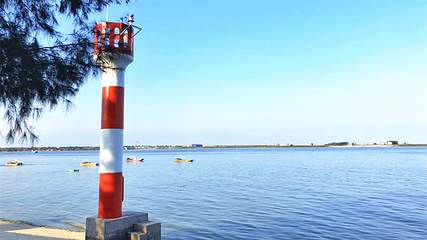 北海金海湾红树林生态旅游区第 44 张图片