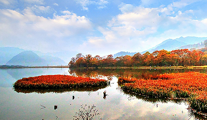 大九湖国家湿地公园第 16 张图片