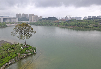 新蒲湿地公园第 44 张图片