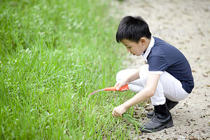 青城马术俱乐部