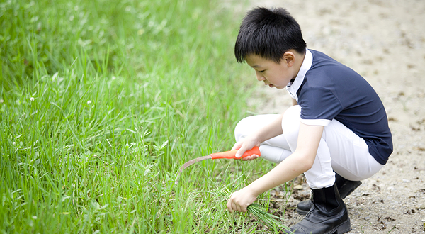 青城马术俱乐部